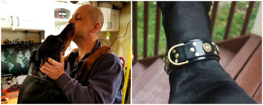 Rob’s first completed project was a collar for Jager.