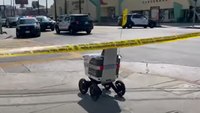 Watch: Food delivery robot crashes crime scene
