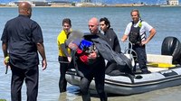 Rescuer swims over half a mile to rescue family stranded in San Francisco Bay