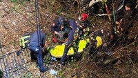 Ga. fire, EMS crews rescue driver after car plunges 40 feet down ravine
