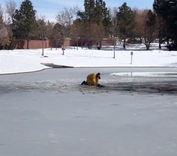 The dog, who seemed to be doing well, was reunited with its owner.