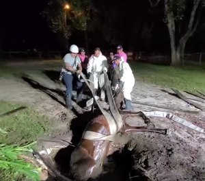 The rescue squad was able to position Buddy Bear in the hole and then haul him out of the tank.