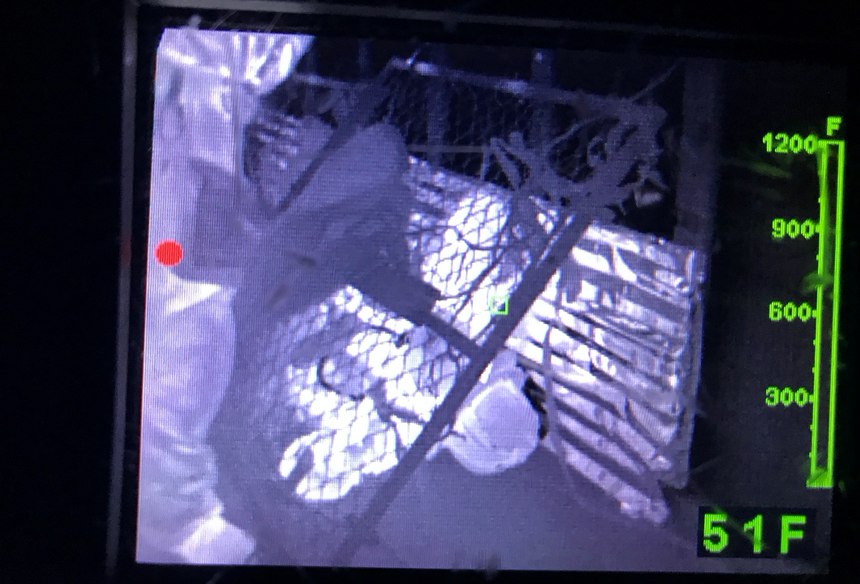After you have established that they can perform a given evolution outside of the working environment, you need to see if they can replicate good performance under actual conditions. A firefighter with SCBA issues may appear to be fine in other evolutions, but put in a low light or confined environment, the problems may surface. These are often complex issues, but with work and willingness, can have a positive outcome.