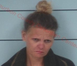Jessica Clines was charged with automobile theft, wanton endangerment, resisting arrest, criminal mischief and driving on a suspended license. (Photo/Bourbon County Detention Center)