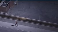 Watch: Pursuit takes wild turn as suspect rams cruisers, runs across Calif. freeway lanes
