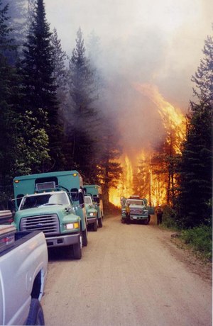 The Thirtymile Fire crossing a road in the Chewuch River canyon