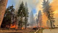More than 1,000 firefighters working Yosemite blaze, but containment level slips