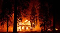In shift toward wildfire prevention, Democrats seek billions for hazardous fuels reduction