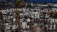 Initial FF actions scrutinized, questioned in Hawaii wildfire tragedy