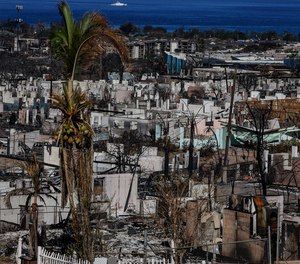 Homes and businesses in Lahaina on the Hawaiian island of Maui lie in ruins.