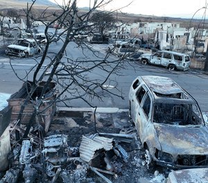 In an aerial view, burned cars and homes are seen in a neighborhood that was destroyed by a wildfire on Aug. 18, 2023, in Lahaina, Hawaii.