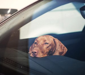 The law adds language to the state's agriculture and markets law to allow EMS personnel, paid firefighters, and volunteer firefighters to take necessary steps to remove unattended animals from the vehicle.