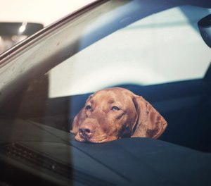 The law adds language to the state's agriculture and markets law to allow EMS personnel, paid firefighters, and volunteer firefighters to take necessary steps to remove unattended animals from the vehicle.