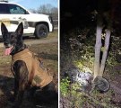 This combined photo shows K-9 Faust and the motorcycle crash Faust helped investigate.