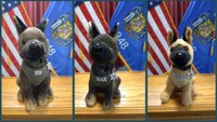 Police fundraiser for Waukesha parade victims sells 900 K-9 plushies on 1st day
