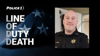 Sheriff's office names Ill. deputy fatally struck during pursuit