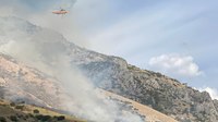 Sheriff: Man trying to kill spider with lighter ignited 60-acre Utah wildfire