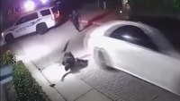 Video: Fla. officer struck, tossed over vehicle by fleeing burglary suspect