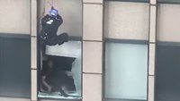Watch: NYPD rescues fugitive threatening to jump from 31st floor of Manhattan high-rise