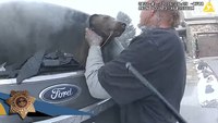 Watch: Colo. deputy rescues dog from smoking car