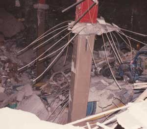 On the morning of February 26, 1993, a massive truck bomb ripped a hole almost 100 feet across the B-2 level of the parking garage beneath the World Trade Center's North Tower. The plotters wanted to topple the North Tower onto the South Tower to destroy them both and kill thousands.