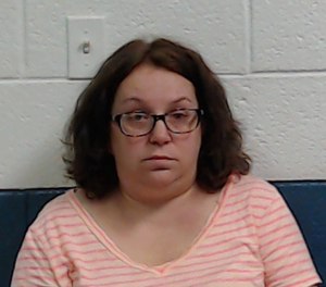 Julie Wheeler, 43, faces charges after allegedly faking her own fall from a cliff and disappearance after dozens of rescue personnel searched for her for two days.