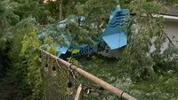 Plane crashes in Detroit backyard, narrowly missing school and park