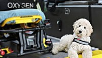 Therapy dog comforts Texas paramedics
