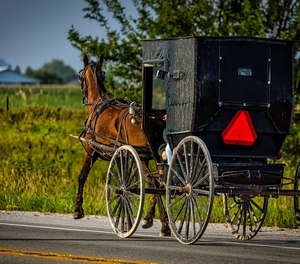 Seven members of a family riding in a horse and buggy were injured, some critically, in a collision on Sunday.