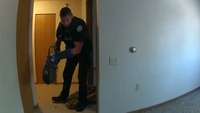 Watch: Officers capture, release wild turkey that broke into apartment