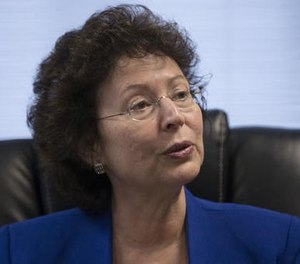 In this Thursday, Oct. 27, 2016 photo, Big Brothers Big Sisters President Pam Iorio speaks during an interview with The Associated Press.