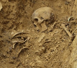 Everything is authentic at the NFA – real blood, real bones, real bodies.