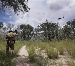 In this Sept. 5, 2014 photo, a U.S. Customs and Border Protection Air and Marine agent looks for signs along a trail with assistance from agents in a helicopter near the Texas-Mexico border near McAllen, Texas. (AP Image)