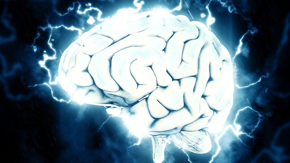 counterfeit games for the brain myeshapaker