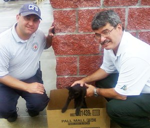 Andy Bruch finds a four-legged patient.
