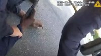 Video: Gun fires as NYPD officers wrestle weapon away from suspect