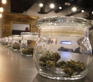 There are several strategies the state is employing to reduce the incidence of stoned driving because evidence from other states that operating under the influence (OUI) of psychoactive cannabis has public safety impacts is mounting. (AP Photo/Brennan Linsley)
