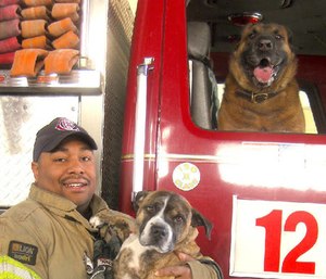 Firefighter David Ruffin of Station 12 poses with Sprout and Taco.