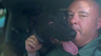 LVMPD K-9 who previously survived stabbing attack dies from medical emergency