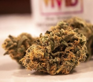 When Christopher Castagna opened the door, the Boston PD officer spotted some marijuana.