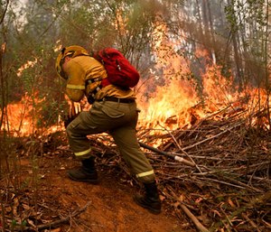 A firefighter digs a trench in an effort to stop the advancement of a wildfire in the Florida community of Concepcion, Chile, Friday, Jan. 27, 2017.