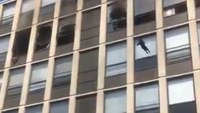 Watch: Cat jumps from 5th story to escape fire, lands on feet, walks away