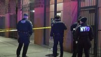 NYPD cop shot in the arm by gunman who opened fire on unmarked PD vehicle