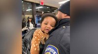 2 Indianapolis women led cops to kidnapped Ohio baby and suspect