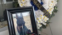 'These dogs are not only dogs; they're family': Bill inspired by fallen Mo. K-9 officer moves forward