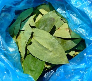 Public records show firefighter Kevin Reynolds told investigators he brought a box of coca tea home after hiking Machu Picchu in Peru. The tea is used in South America to fight off altitude sickness.
