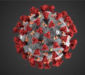 Illustration of the 2019-nCoV viewed through an electron microscope. Note the spikes that adorn the outer surface of the virus, which impart the look of a corona surrounding the virion.