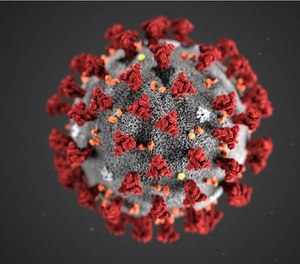 Illustration of the 2019-nCoV viewed through an electron microscope. Note the spikes that adorn the outer surface of the virus, which impart the look of a corona surrounding the virion.