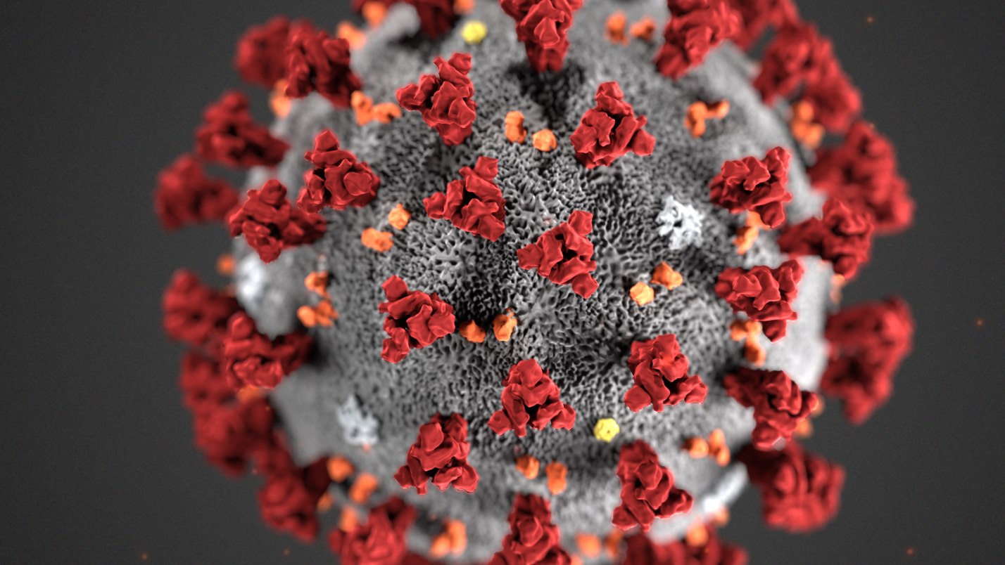Волны коронавируса в мире. Вирус ковид 19. Коронавирус. Вирусы под микроскопом фото. Онковирусы под микроскопом.