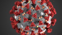 Don’t panic, but prepare: What you need to know now about the novel coronavirus